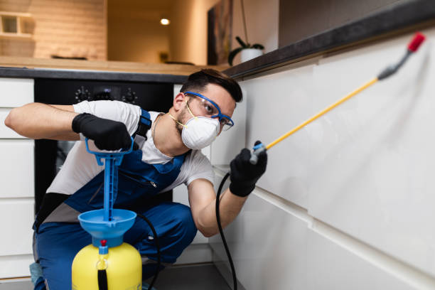 Best Pest Control Near Me  in Elkhorn City, KY