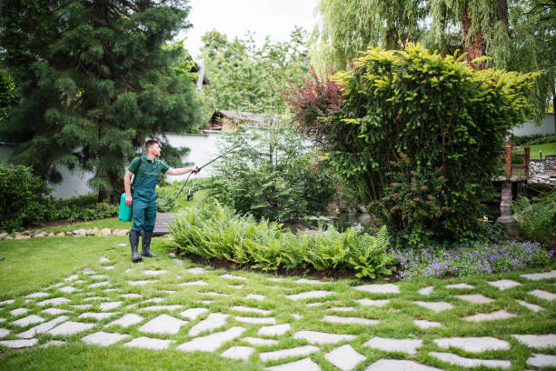 Best Pest Removal Services  in Elkhorn City, KY