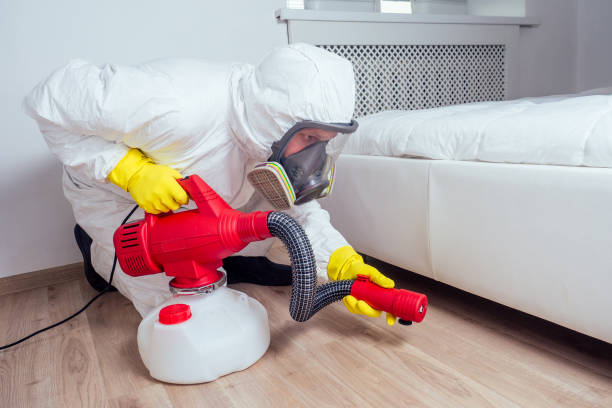 Best Cockroach Control Services  in Elkhorn City, KY