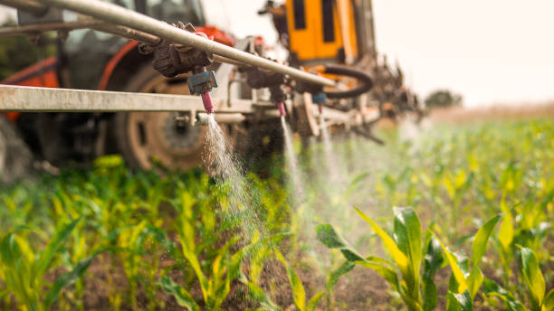 Best Pest Prevention Services  in Elkhorn City, KY